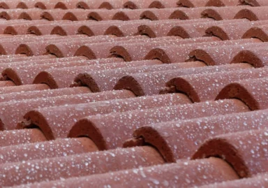 Avoiding Frost Roof Tile Damage