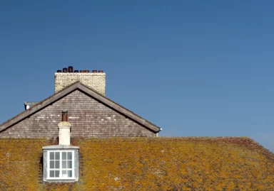 Roof Tiles Covered in Moss