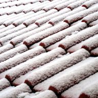 Frost Damaged Roof