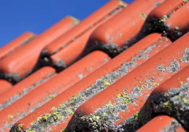 Roof Tiles With Moss